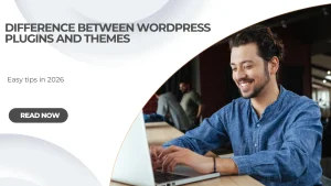 Difference between Wordpress Plugins And Themes